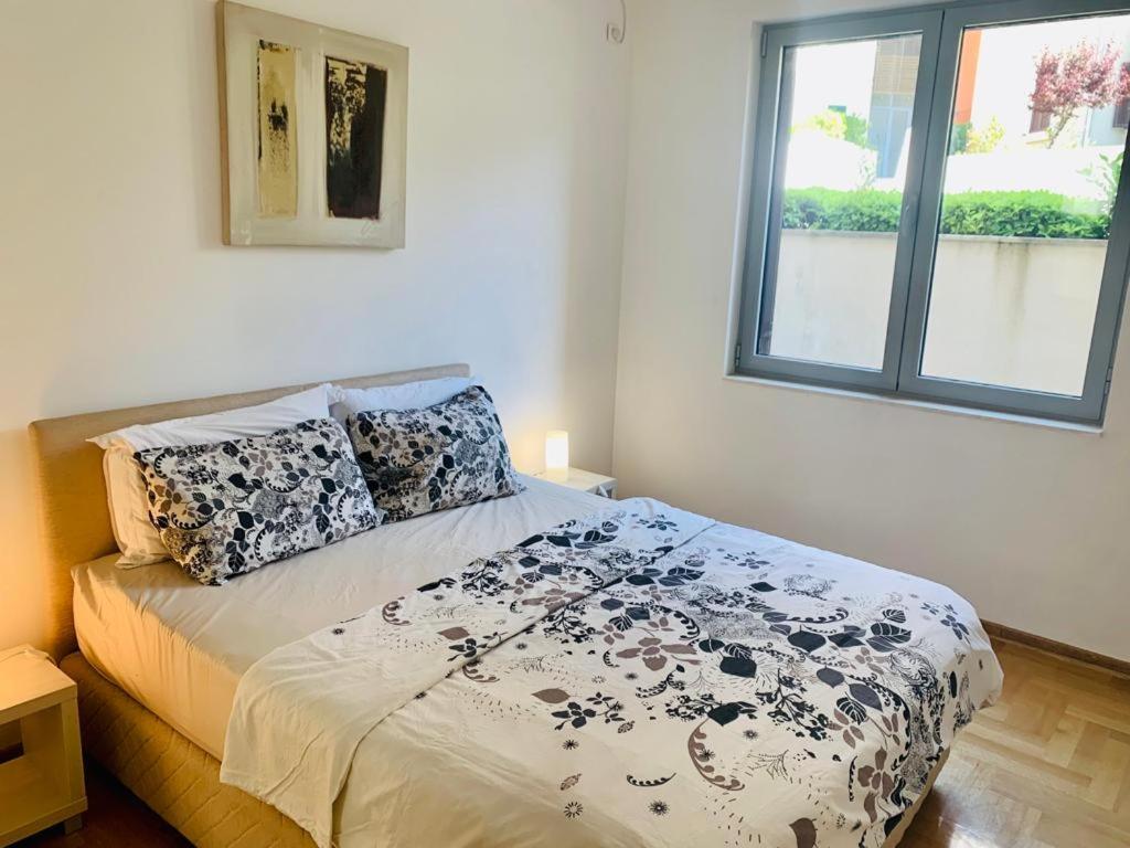 Lavender Bay Apartment F8 (2)